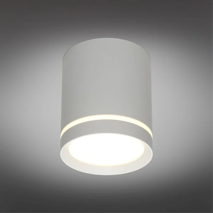 Светильник настенно-потолочный Omnilux Capurso OML-102429-05