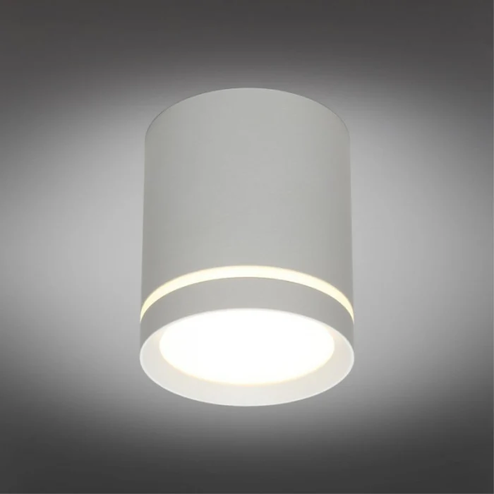 Светильник настенно-потолочный Omnilux Capurso OML-102429-05