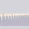 Светодиодная лента Ambrella Light GS2101 5050 60Led /14.4W m/ 12V IP65 3000K 5m Ambrella light GS2101