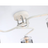 Потолочный светильник Ambrella light TR303217