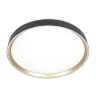 Потолочный светильник Citilux Boss CL751451G
