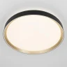 Потолочный светильник Citilux Boss CL751451G