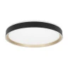 Потолочный светильник Citilux Boss CL751451G