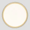 Потолочный светильник Citilux Boss CL751451G