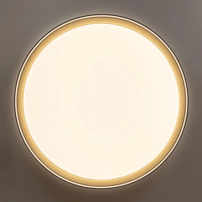 Потолочный светильник Citilux Boss CL751451G