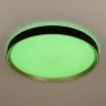 Потолочный светильник Citilux Boss CL751451G