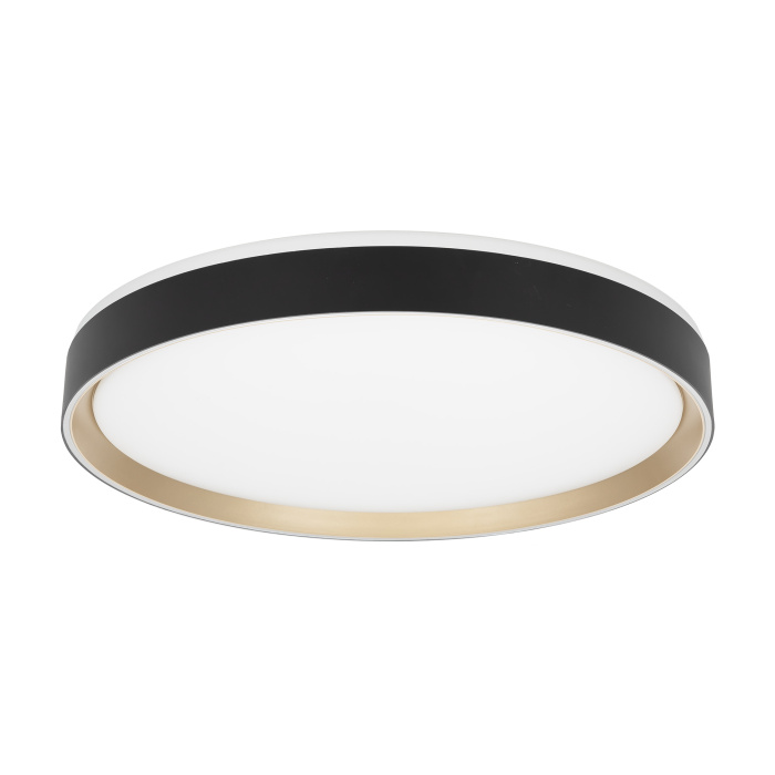 Светильник потолочный Citilux BOSS CL751451G