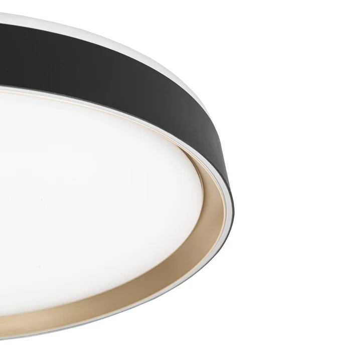 Светильник потолочный Citilux BOSS CL751451G