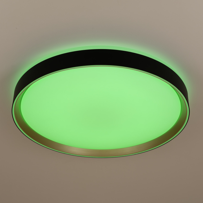 Светильник потолочный Citilux BOSS CL751451G