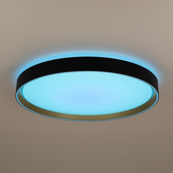 Светильник потолочный Citilux BOSS CL751451G