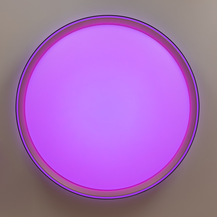 Светильник потолочный Citilux BOSS CL751451G