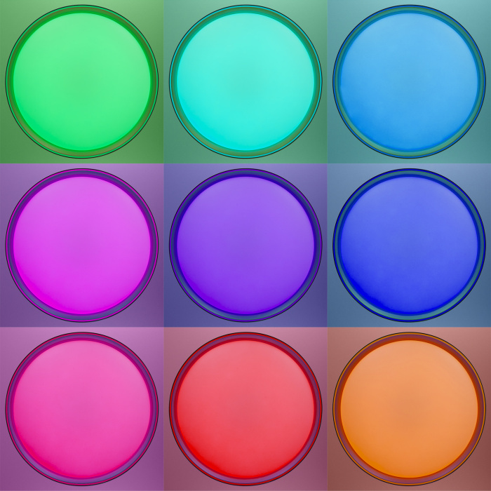 Светильник потолочный Citilux BOSS CL751451G