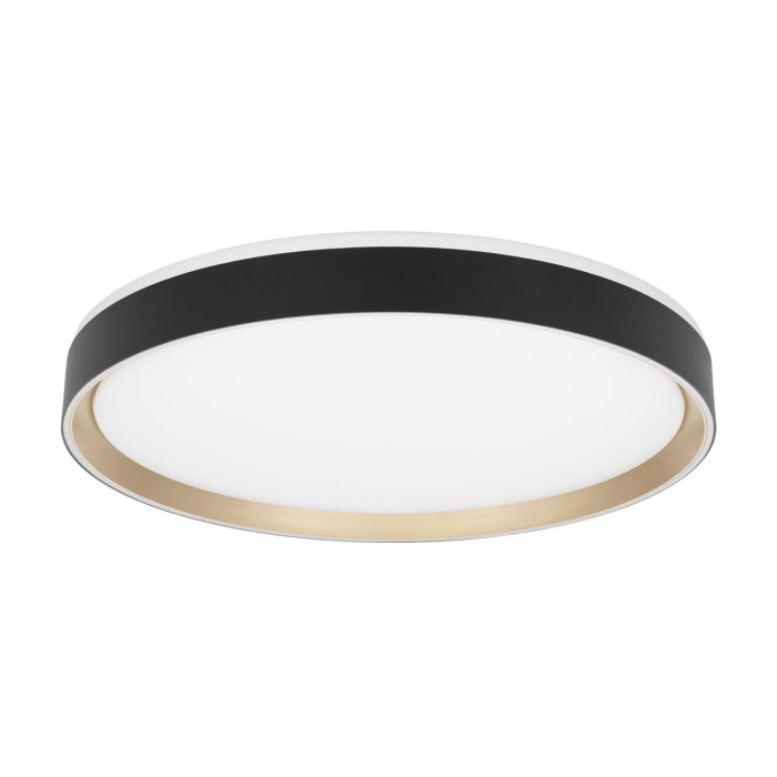 Потолочный светильник Citilux Boss CL751451G