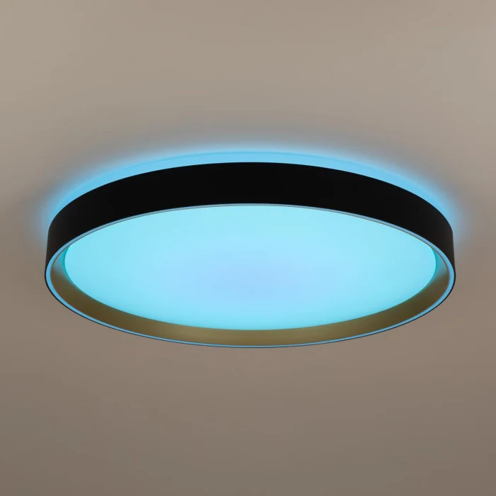 Потолочный светильник Citilux Boss CL751451G