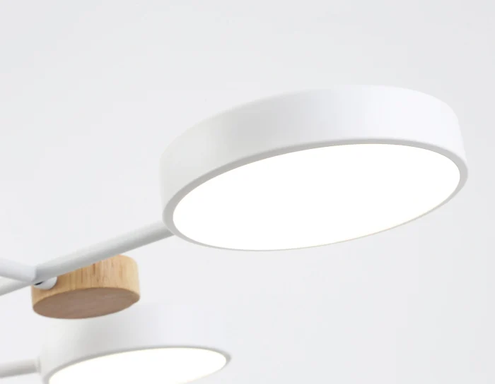 Люстра светодиодная на штанге AMBRELLA light FL4861