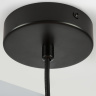 Подвесной светильник Lightstar Fenicia 799557