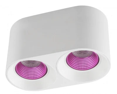 Накладной светильник Denkirs Rodvig DK3096-WH+PI