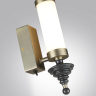 Подсветка для картин Odeon Light Ula 5404/11WL