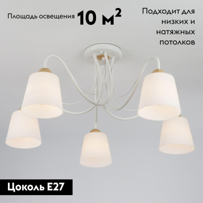 Потолочная люстра Eurosvet Betty 70062/5 белый