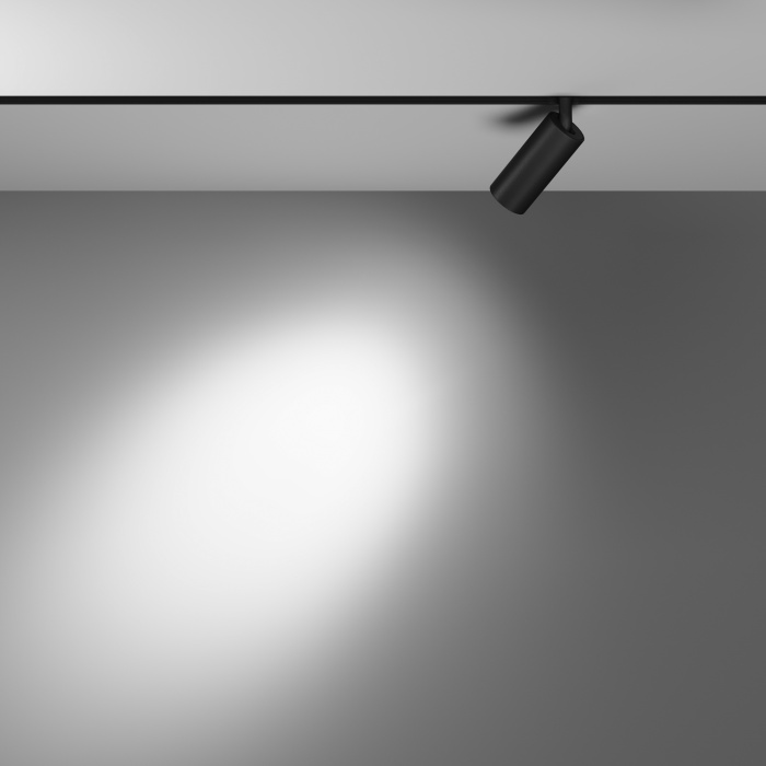 Трековый светильник Maytoni Focus LED TR032-4-5WTW-S-DD-B