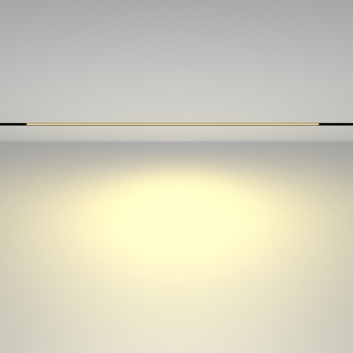 Трековый светильник Maytoni Basis TR030-2-30W2.7K-B