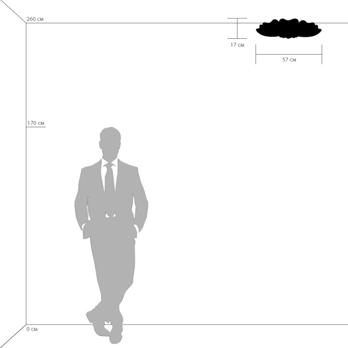 Накладной светильник Lobo LIGHTSTAR 804020