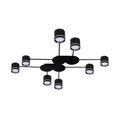 Потолочный светильник Arte Lamp LEGACY A8024PL-8BK