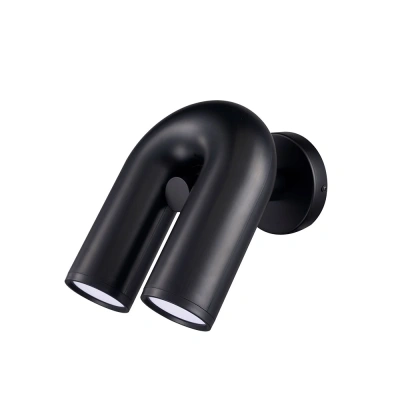 Светильник настенный Divinare TWINS 1092/06 AP-5