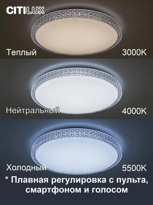 Потолочный светильник Citilux Альпина Смарт CL718A60G