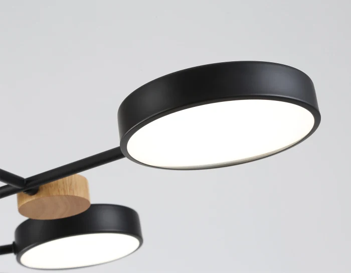 Люстра светодиодная на штанге AMBRELLA light FL4863