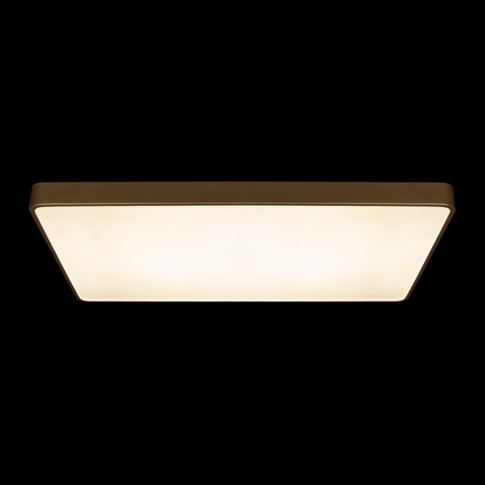 Потолочный светильник LOFT IT Flims 10228/E