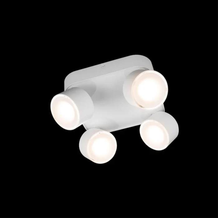 Потолочный светильник Loft it Case 10326 White