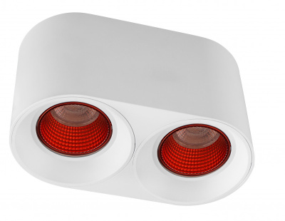 Накладной светильник Denkirs Rodvig DK3096-WH+RD