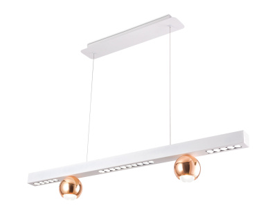 Подвесной светодиодный светильник Ambrella light FL5955