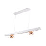 Подвесной светодиодный светильник Ambrella light FL5955