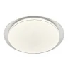 Потолочный светодиодный светильник Ambrella light FZ1047