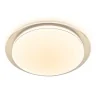 Потолочный светодиодный светильник Ambrella light FZ1047