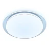 Потолочный светодиодный светильник Ambrella light FZ1047
