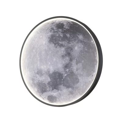 Настенно-потолочный светильник PLANET ESCADA 10226/SG LED Moon