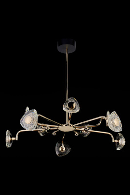 Подвесная люстра Leon Iris LE7913/10G Gold