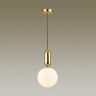 Подвесной светильник Odeon Light Okia 4669/1