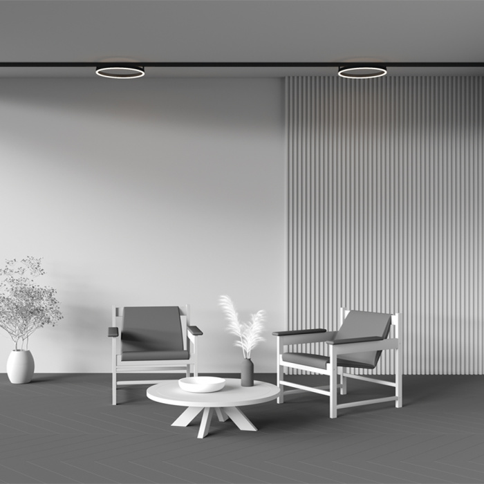 Трековый светильник Maytoni Rim TR227-2-24W3K-B