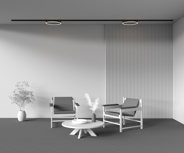 Трековый светильник Maytoni Rim TR227-2-24W3K-B