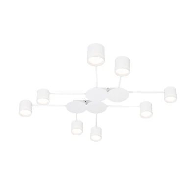 Потолочный светильник Arte Lamp LEGACY A8024PL-8WH