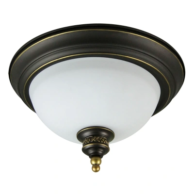 Потолочный светильник Arte Lamp BONITO A9518PL-2BA