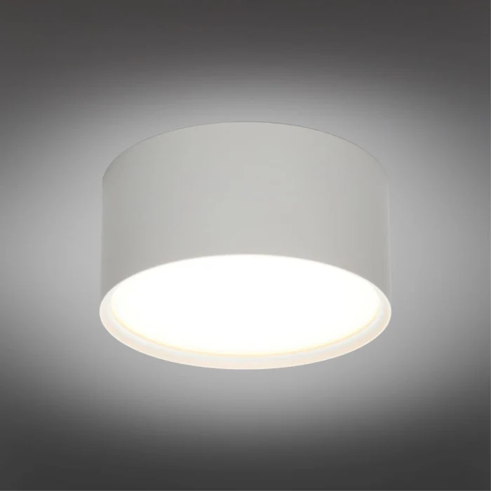 Светильник накладной Omnilux Abano OML-103309-12