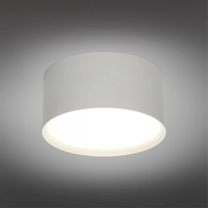 Светильник накладной Omnilux Abano OML-103309-12