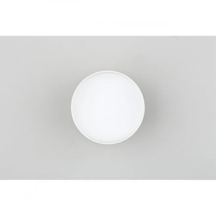 Светильник накладной Omnilux Abano OML-103309-12