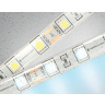 Светодиодная лента Ambrella Light GS2103 5050 60Led /14.4W m/ 12V IP65 6500K 5m Ambrella light GS2103