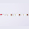 Светодиодная лента Ambrella Light GS2103 5050 60Led /14.4W m/ 12V IP65 6500K 5m Ambrella light GS2103